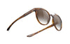 Rudy Project Astroloop - Demi Turtle Gloss - Brown Matte Deg